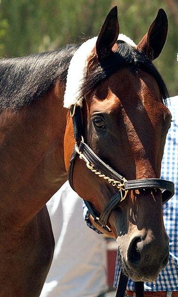 American Pharoah caught in LA traffic en route to Santa Anita
